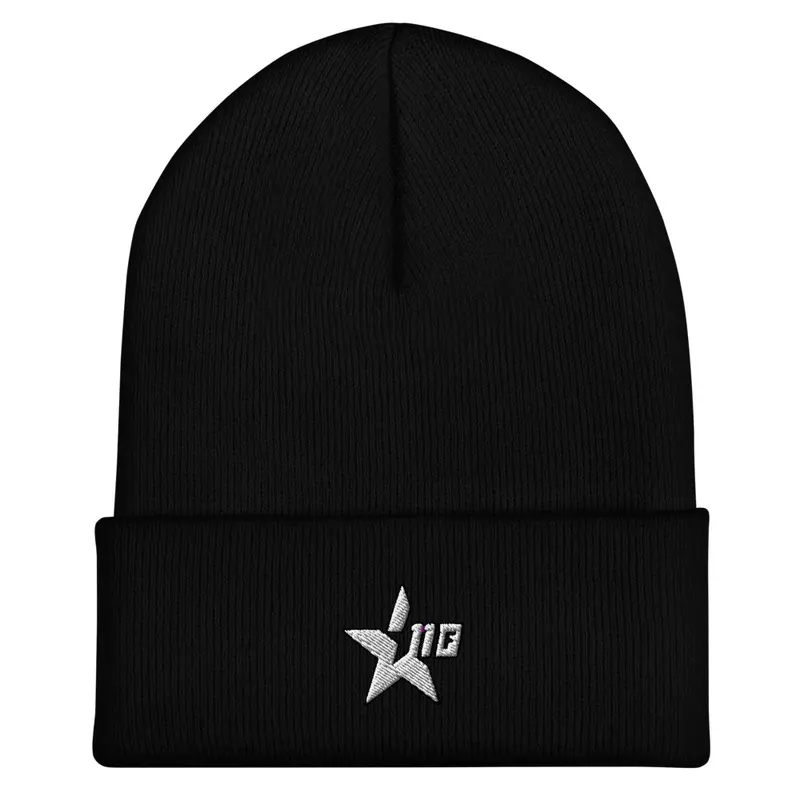 110 fam beanie